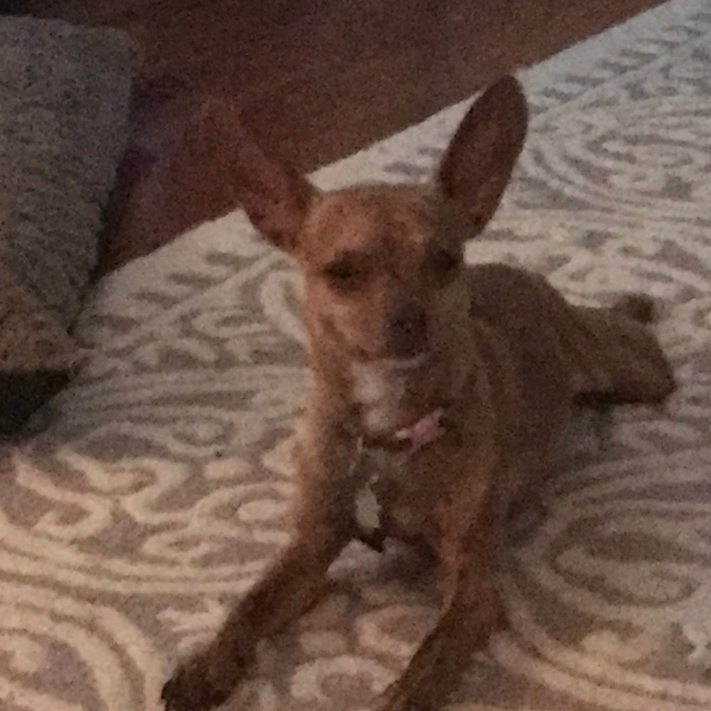 Meet your Posher, Marissa